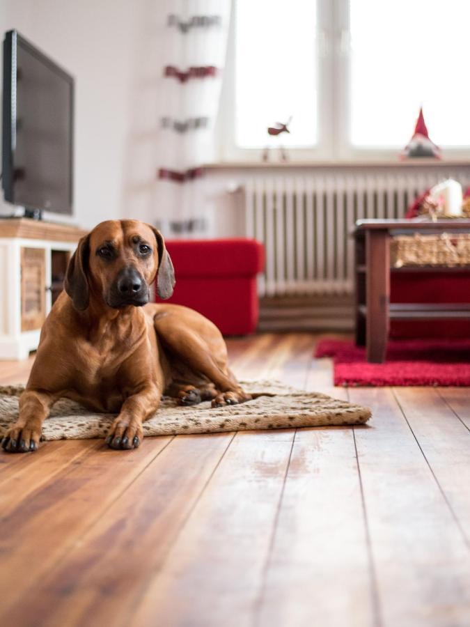 Wohlfuehlen In Ostseenaehe Villa Ratekau Luaran gambar